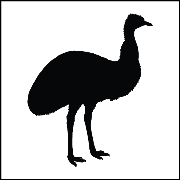 Emu This alt text needs work.